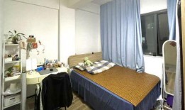 深圳租房租客最新爆料,租客揭露隐藏费用与真实居住体验